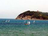 baratti06.JPG