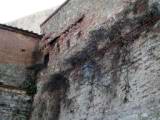 castello24.JPG